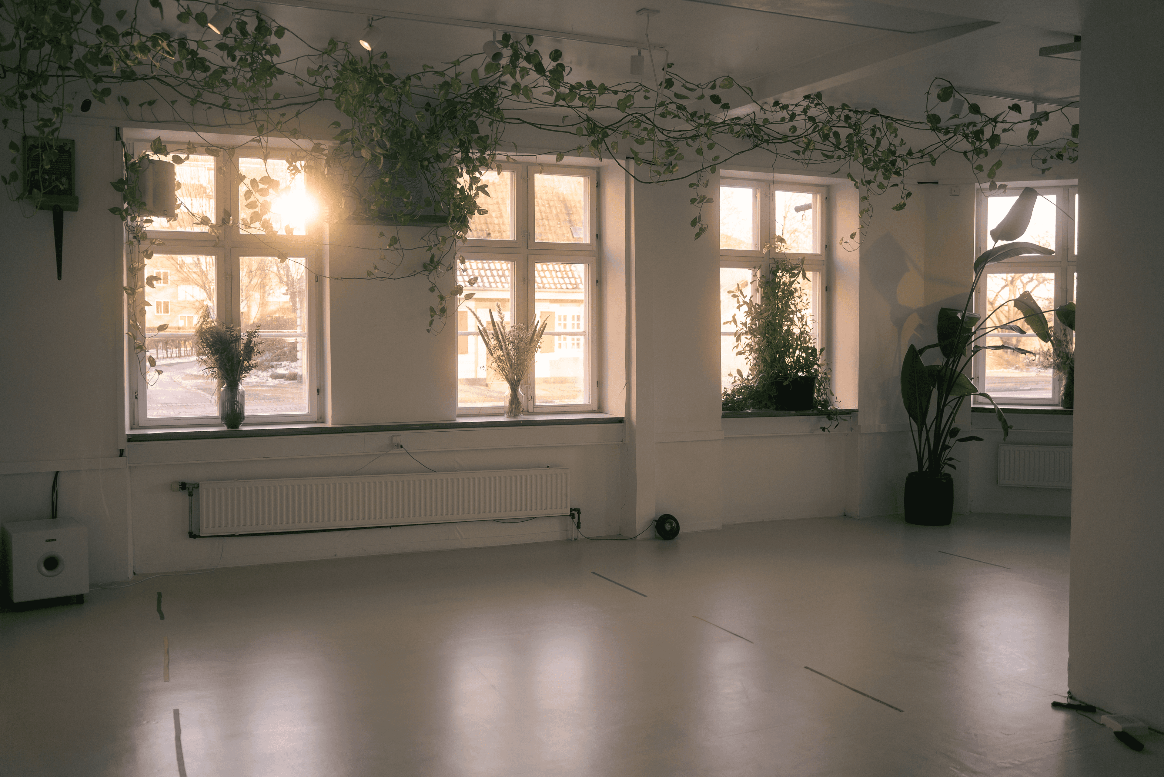 Hot Yoga Copenhagen main studio — bright, plant-filled space with natural light